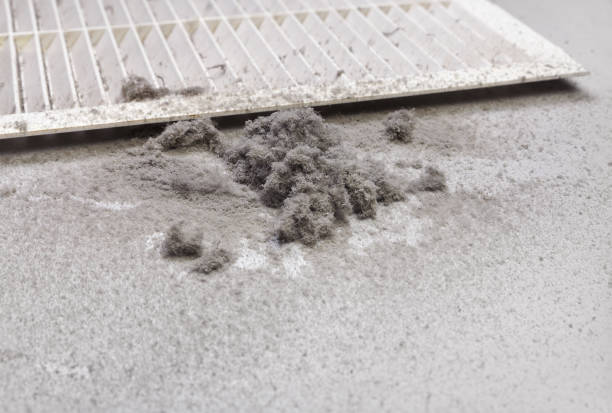Best HVAC Air Duct Cleaning  in Smithton, IL