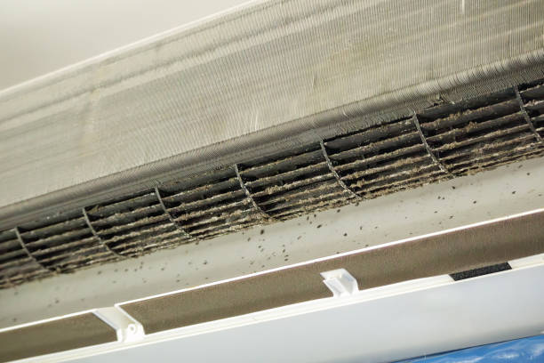 Best Residential Air Duct Cleaning  in Smithton, IL