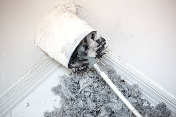 Best Ductwork Cleaning Services  in Smithton, IL